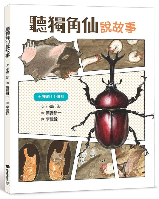 聽獨角仙說故事