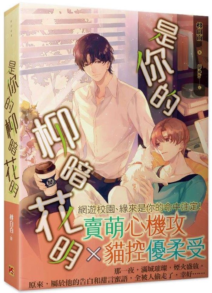 是你的柳暗花明