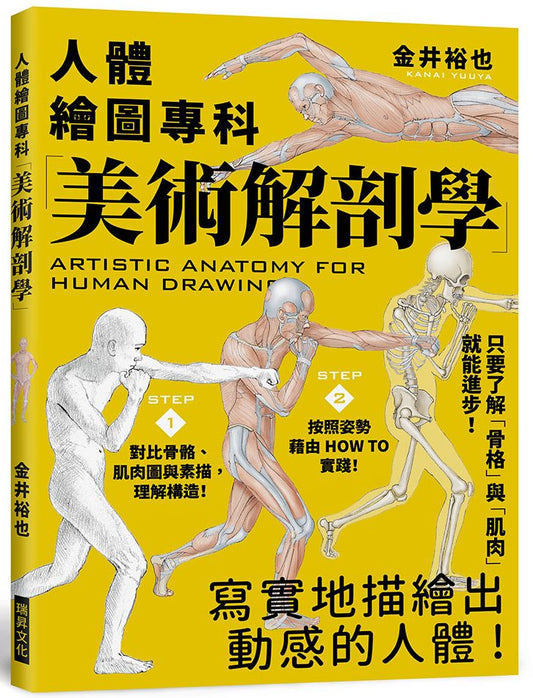 美術解剖學