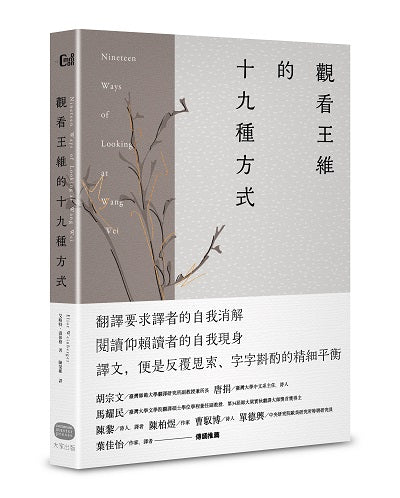 觀看王維的十九種方式