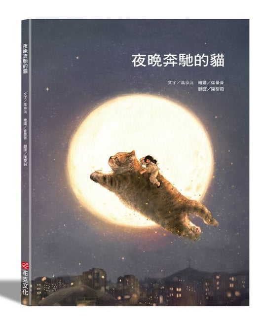 夜晚奔馳的貓