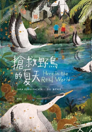 搶救野鳥的夏天（《彼得和他的寶貝》作者新作）