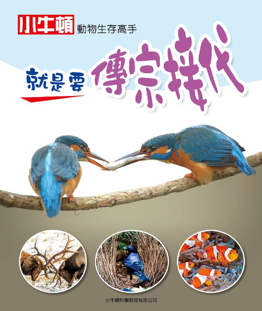動物生存高手：就是要傳宗接代