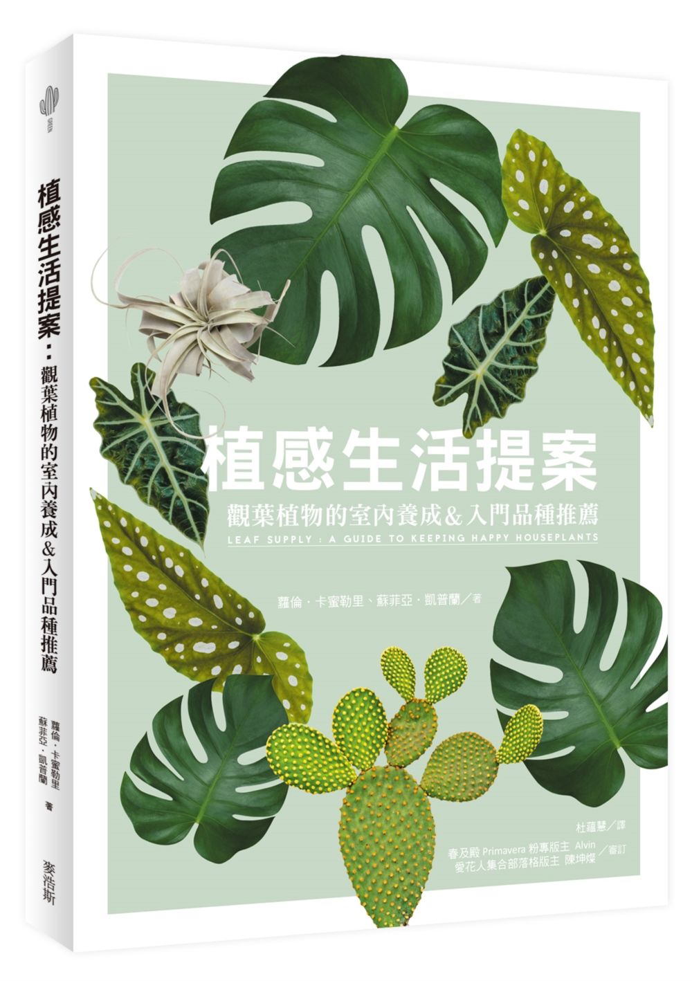 植感生活提案：觀葉植物的室內養成＆入門品種推薦