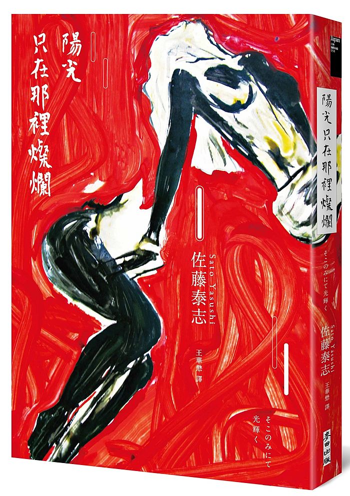 陽光只在那裡燦爛（同名改編電影《陽光只在這裡燦爛》原著）