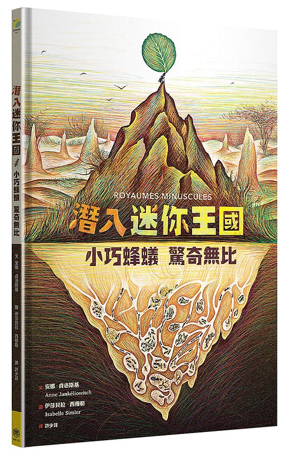 潛入迷你王國：小巧蜂蟻，驚奇無比（大開本精美生態繪本翻翻書）