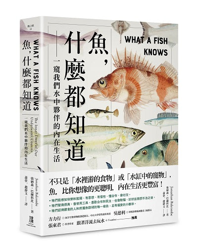魚，什麼都知道：一窺我們水中夥伴的內在生活