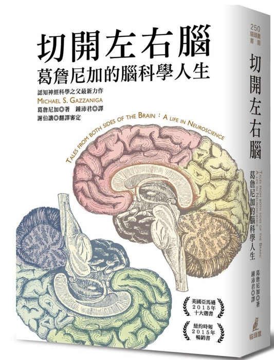 切開左右腦：葛詹尼加的腦科學人生