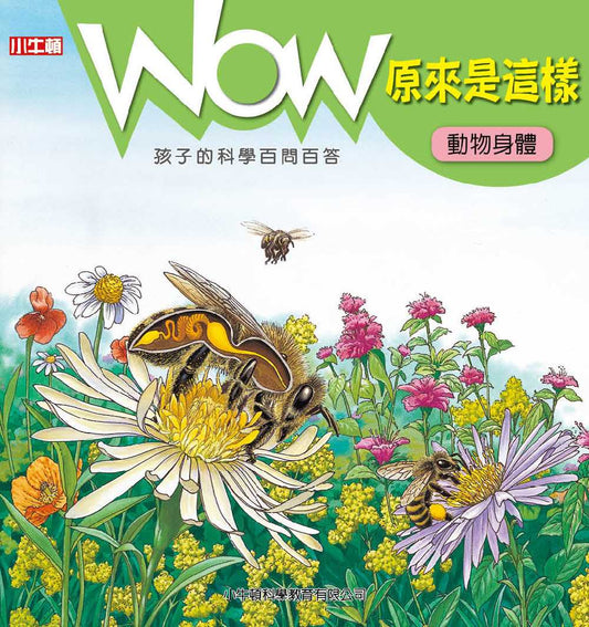 WOW原來是這樣：動物身體