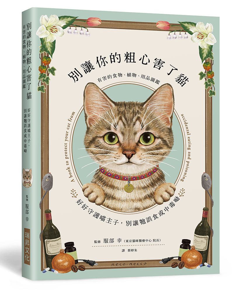 別讓你的粗心害了貓