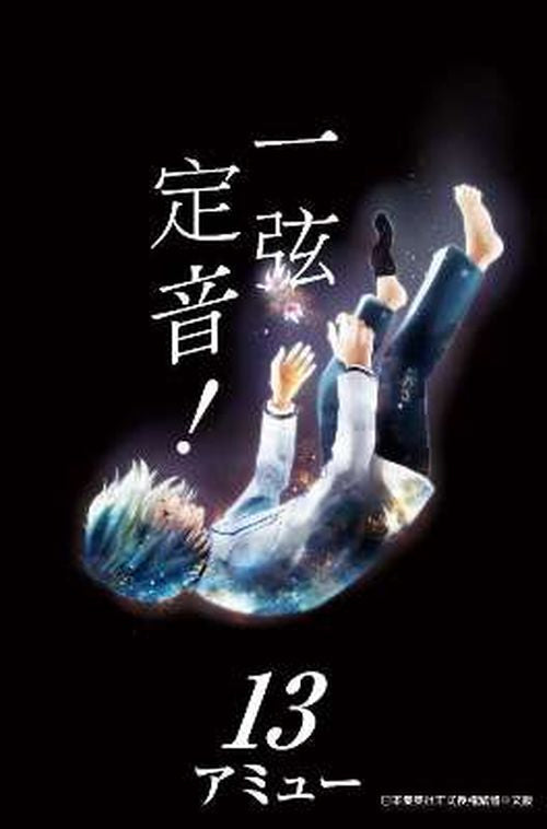一弦定音(13)