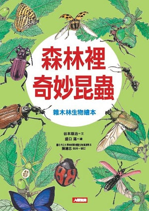 自然世界：森林裡奇妙昆蟲→