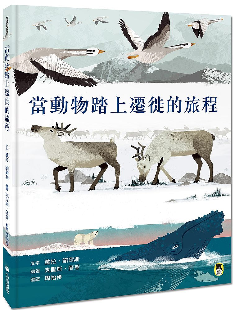當動物踏上遷徙的旅程